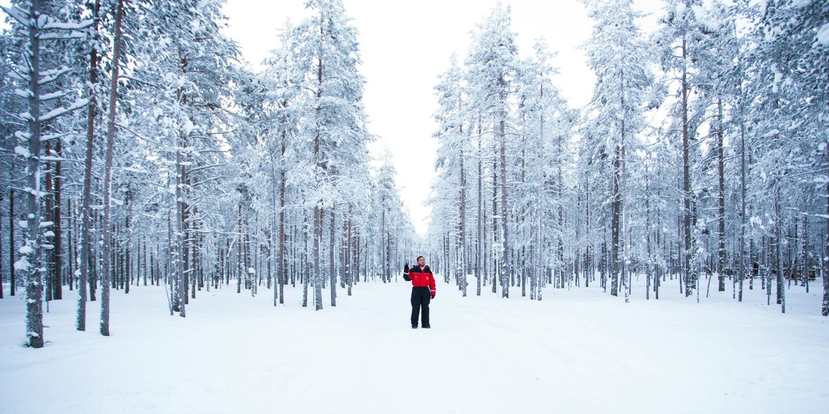 A solo traveller standing in a snow-covered forest in Finland