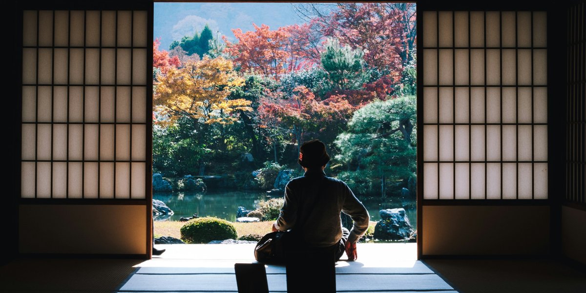A solo traveller looking out at a Japanese garden with autumn leaves